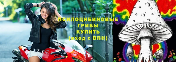 герыч Аркадак