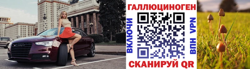 блэк спрут ONION  Осташков  Псилоцибиновые грибы мухоморы 